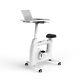 Flexispot Home Office Exercise Bike With Workstation Fitness Home Gym Indoor