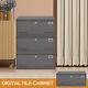 Metal File Cabinet Organizer Steel Filing Cabinet Storage Home Office With Loc9q